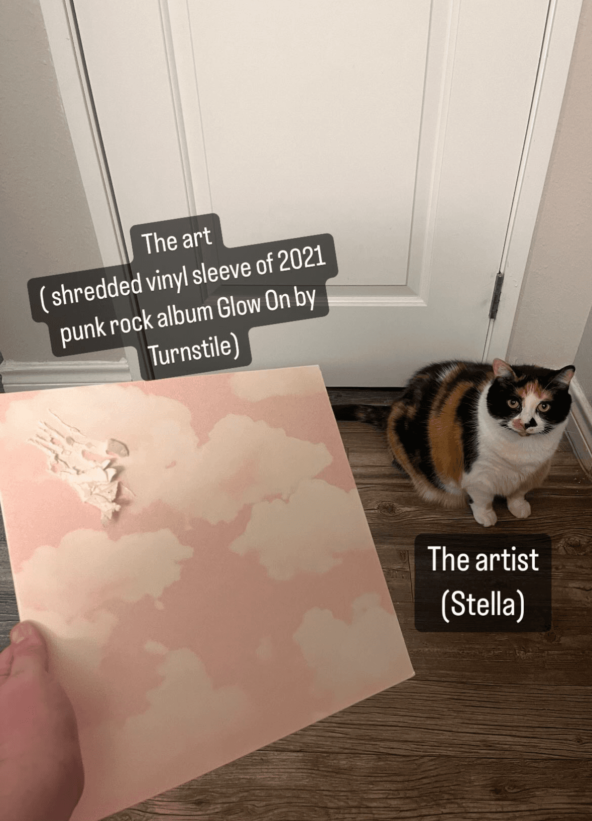 Screenshot 2024 06 17 At 6 43 16 Pm Jpeg B37a55