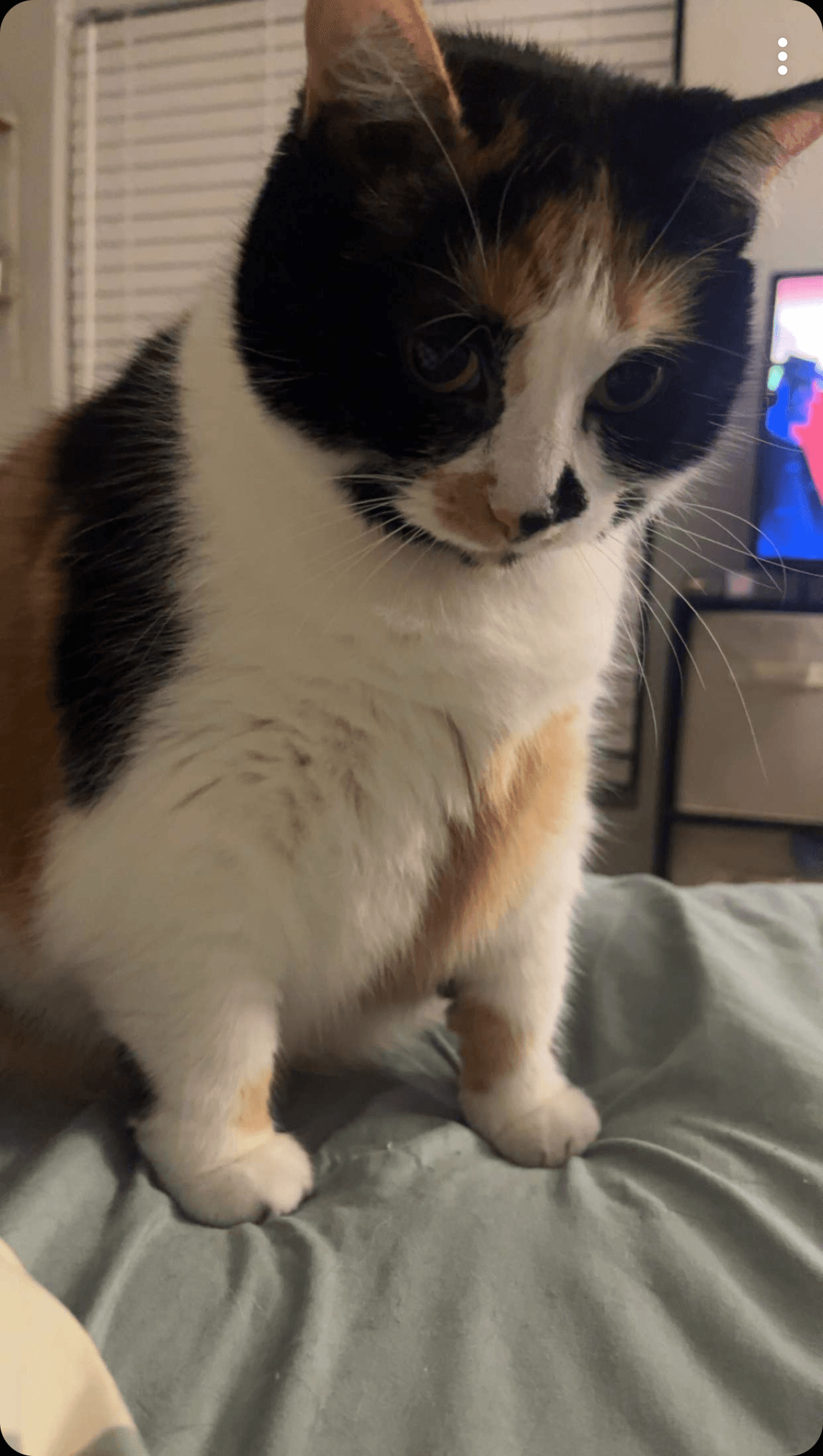 Screenshot 2024 08 10 At 6 31 58 Am Jpeg 8a1f5e