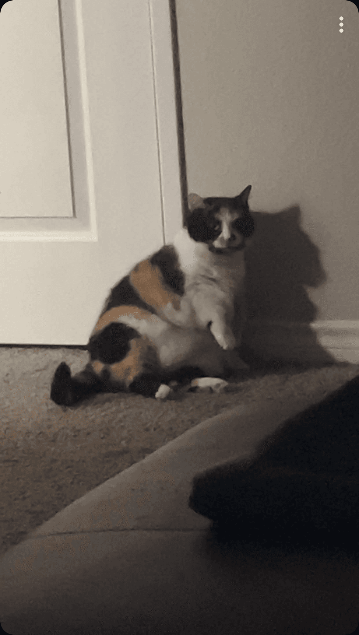 Screenshot 2024 10 07 At 9 14 05 Pm Jpeg 5d2821